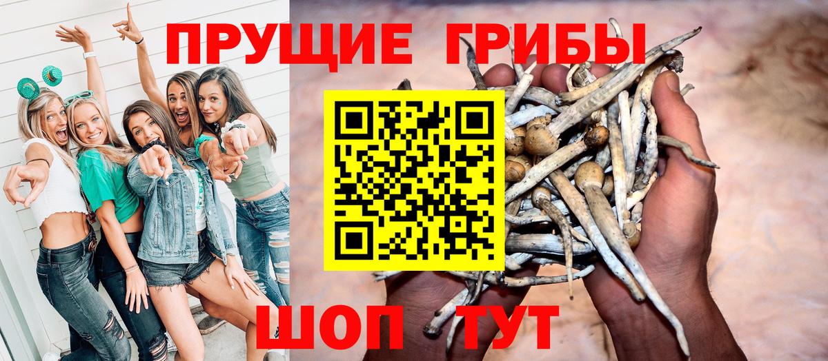 Валуйки  купить  цена  Вход с VPN  Псилоцибиновые грибы MAGIC MUSHROOMS 