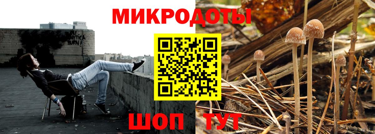 Галлюциногенные грибы Psilocybe Валуйки
